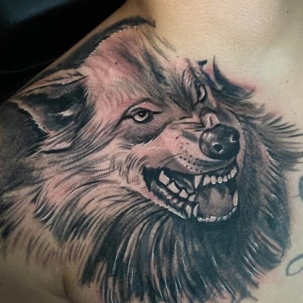 Wolf